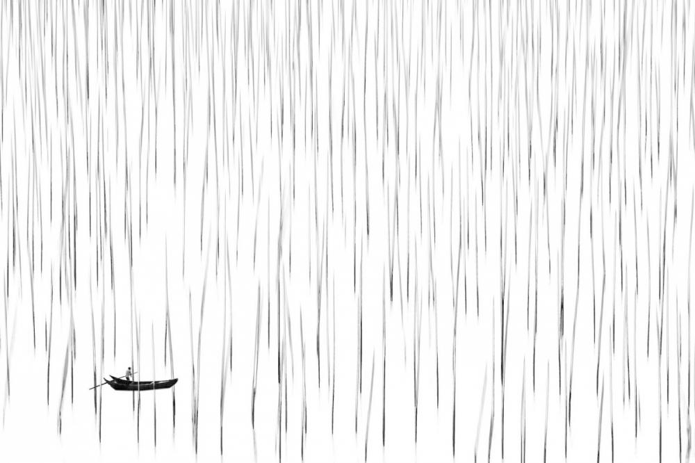 sienainternationalphotoaward_098