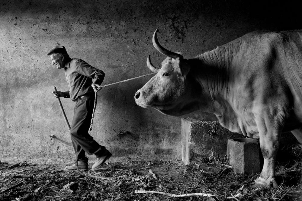 sienainternationalphotoaward_103