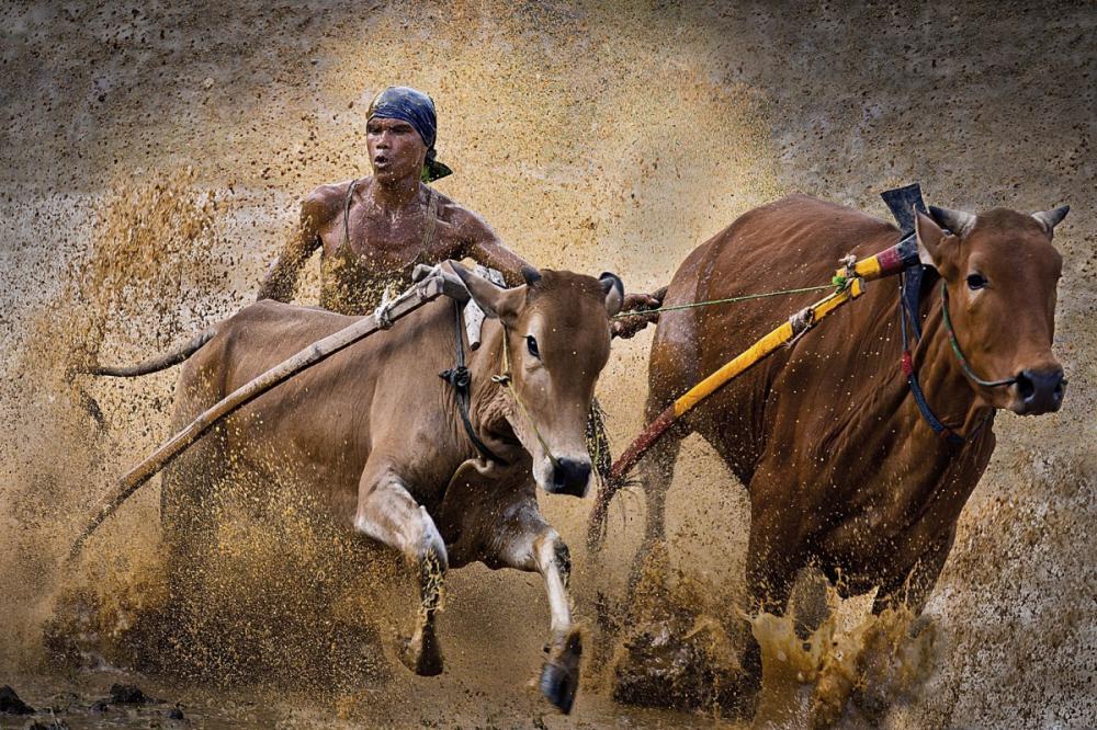 sienainternationalphotoaward_106