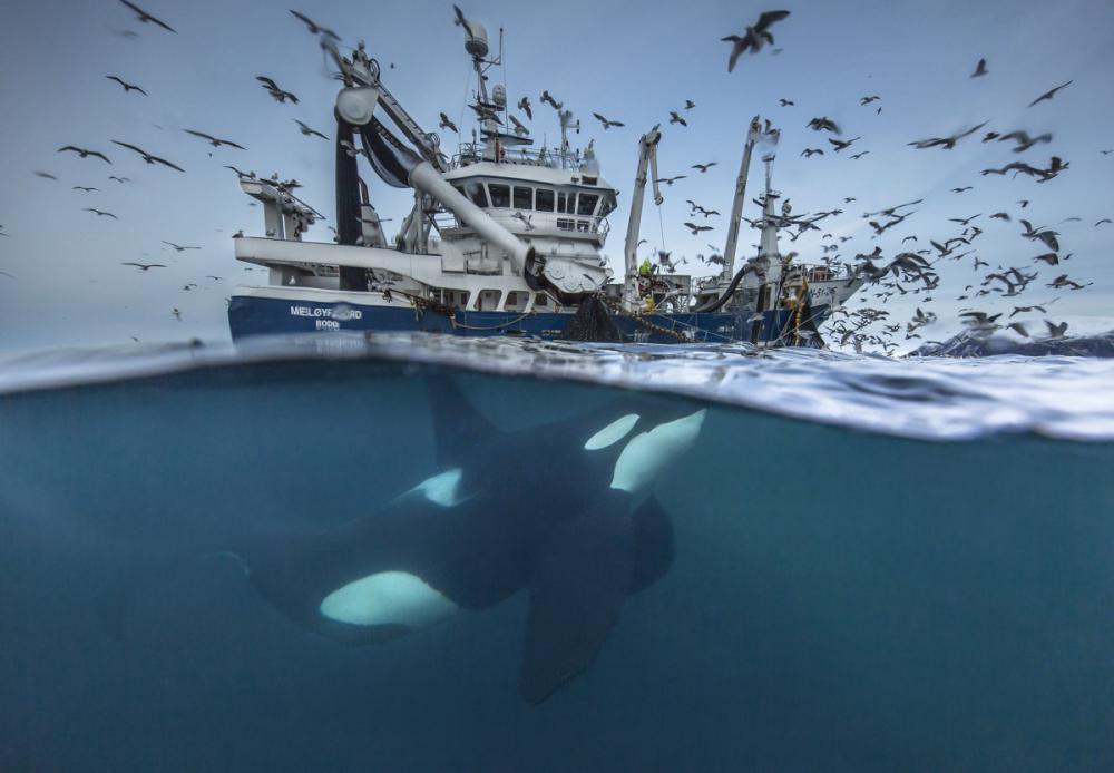 sienainternationalphotoaward_107