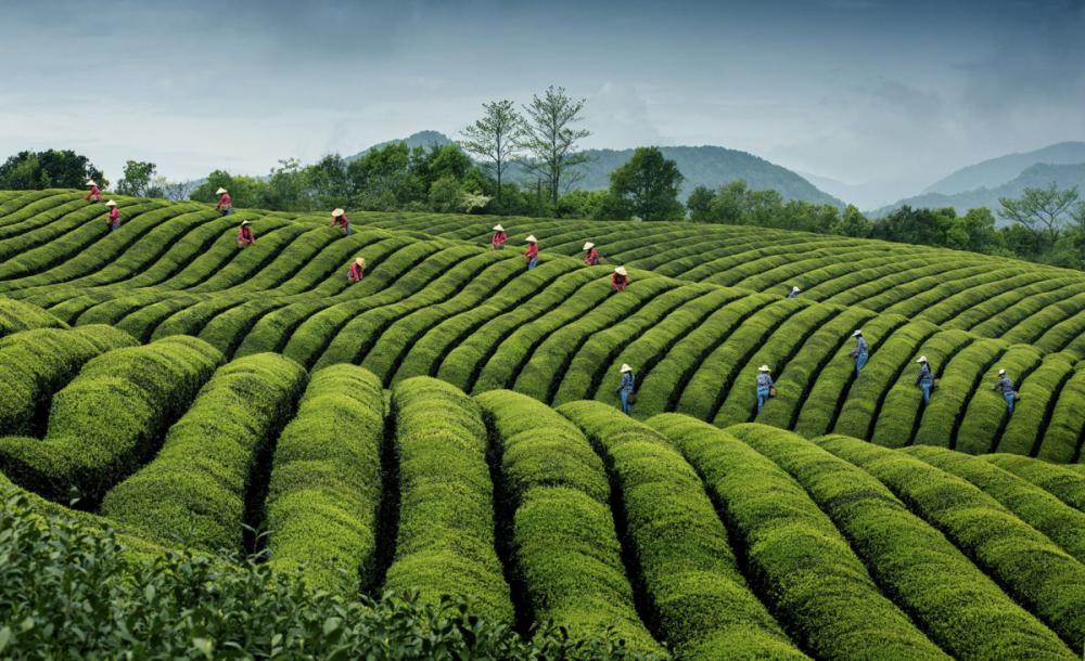 sienainternationalphotoaward_121