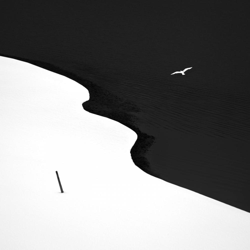 sienainternationalphotoaward_125
