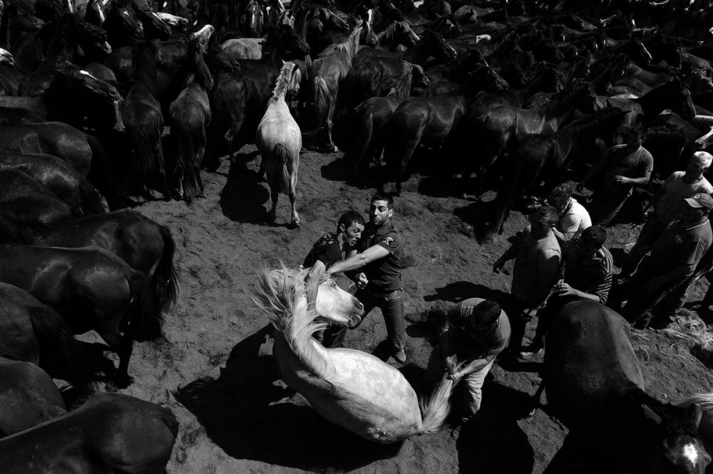 sienainternationalphotoaward_139