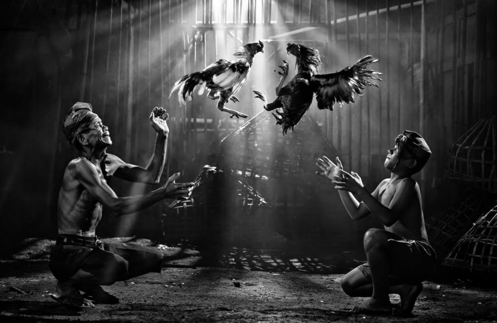 sienainternationalphotoaward_142