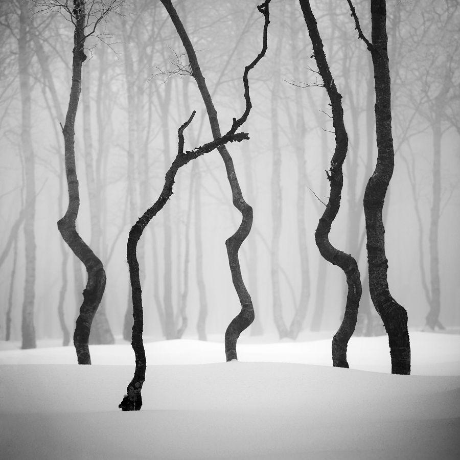 sienainternationalphotoaward_149