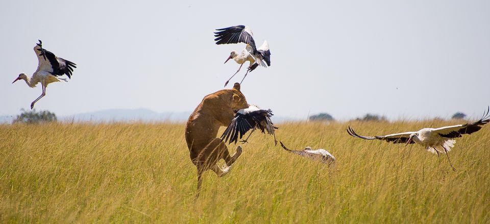 sienainternationalphotoaward_165