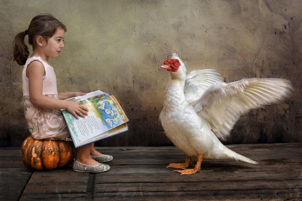 sienainternationalphotoaward_168