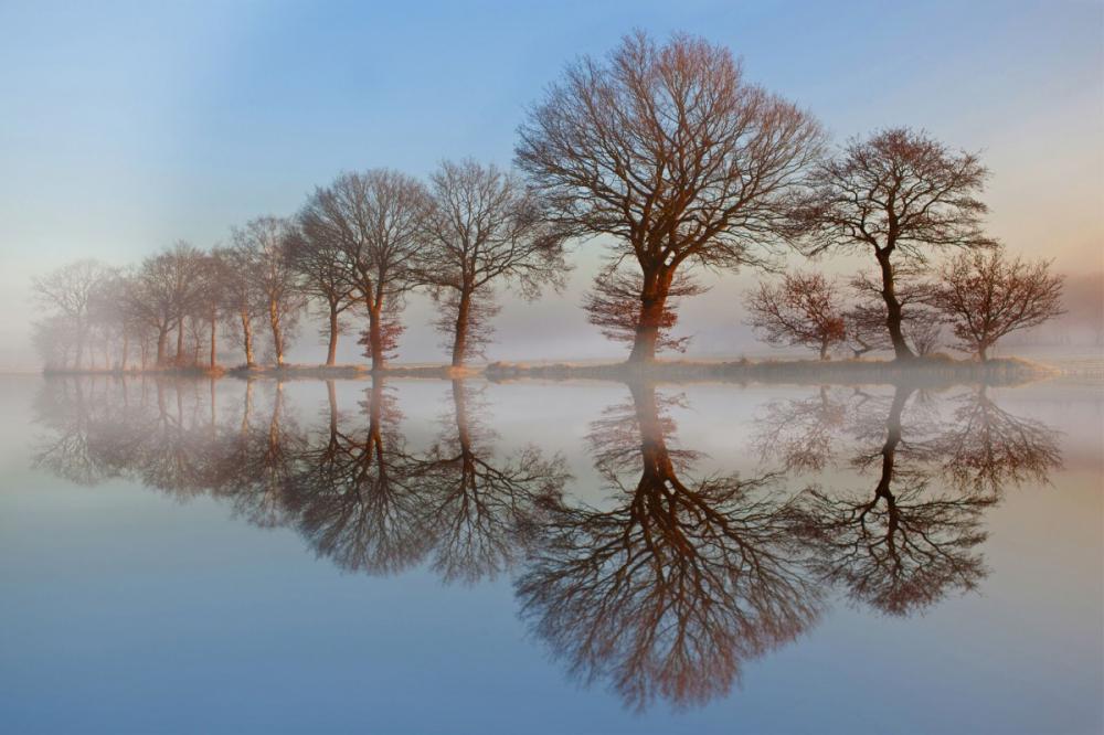 sienainternationalphotoaward_171