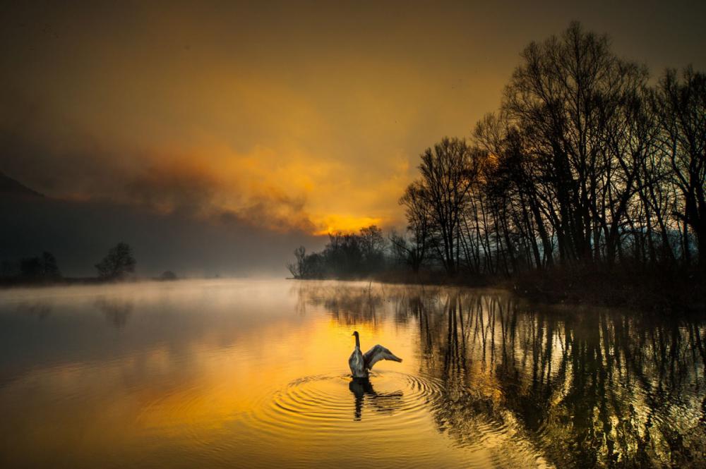 sienainternationalphotoaward_179