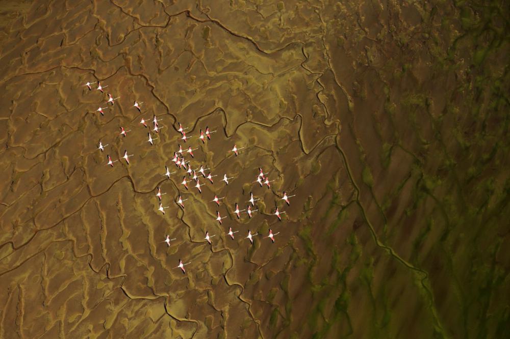 sienainternationalphotoaward_189