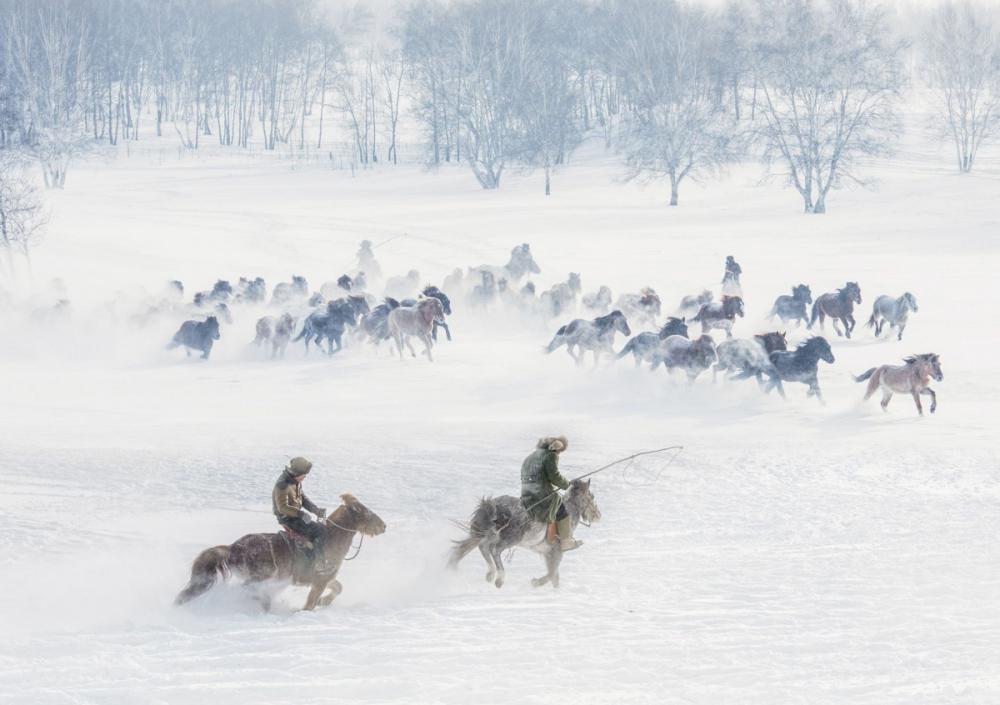 sienainternationalphotoaward_197