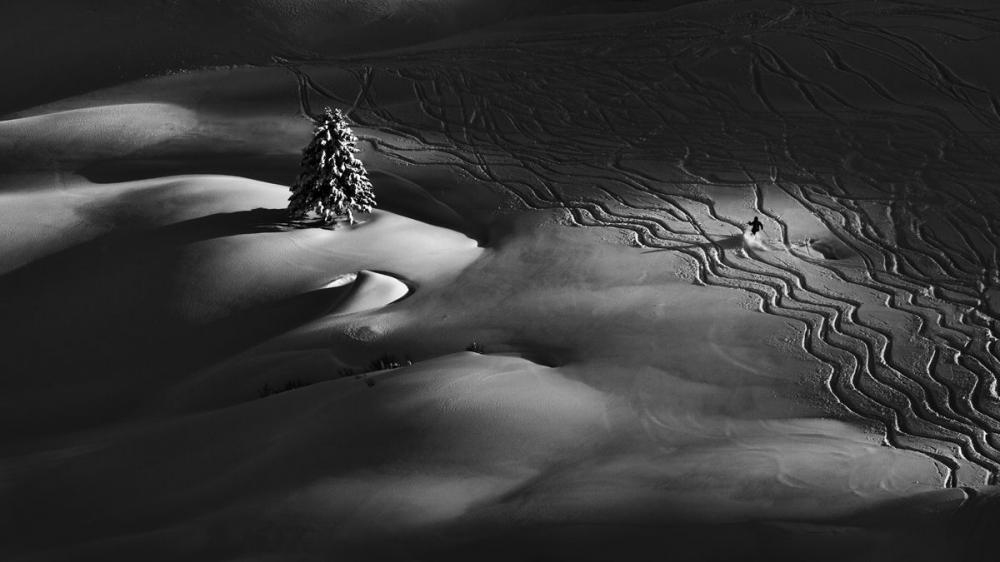 sienainternationalphotoaward_214