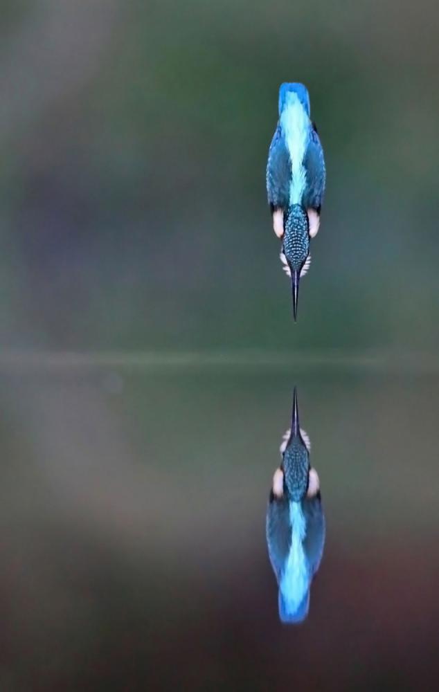 sienainternationalphotoaward_220