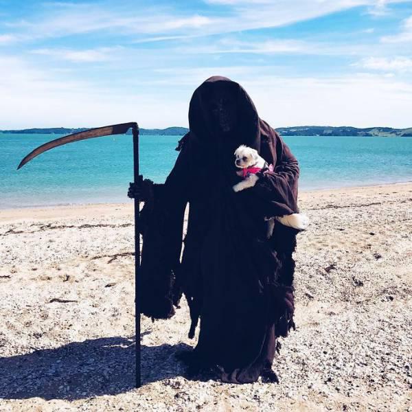 swimreaper_015 swimreaper_015
