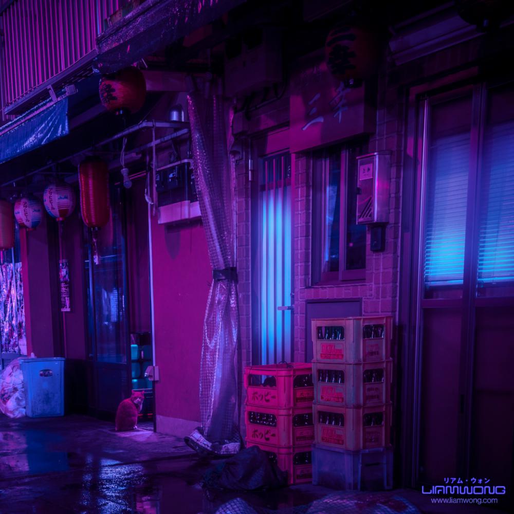 tokyonightliamwong_004 tokyonightliamwong_004