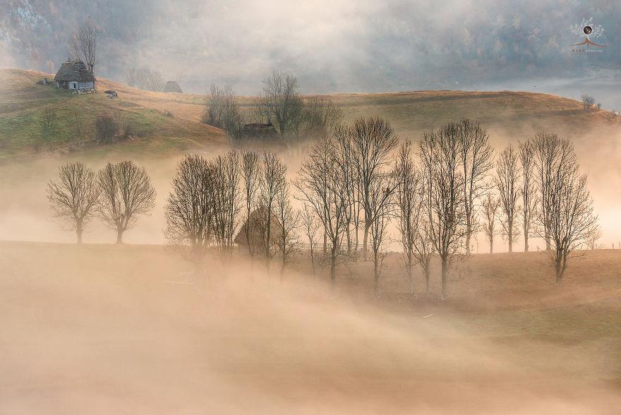 translyvania_007 translyvania_007