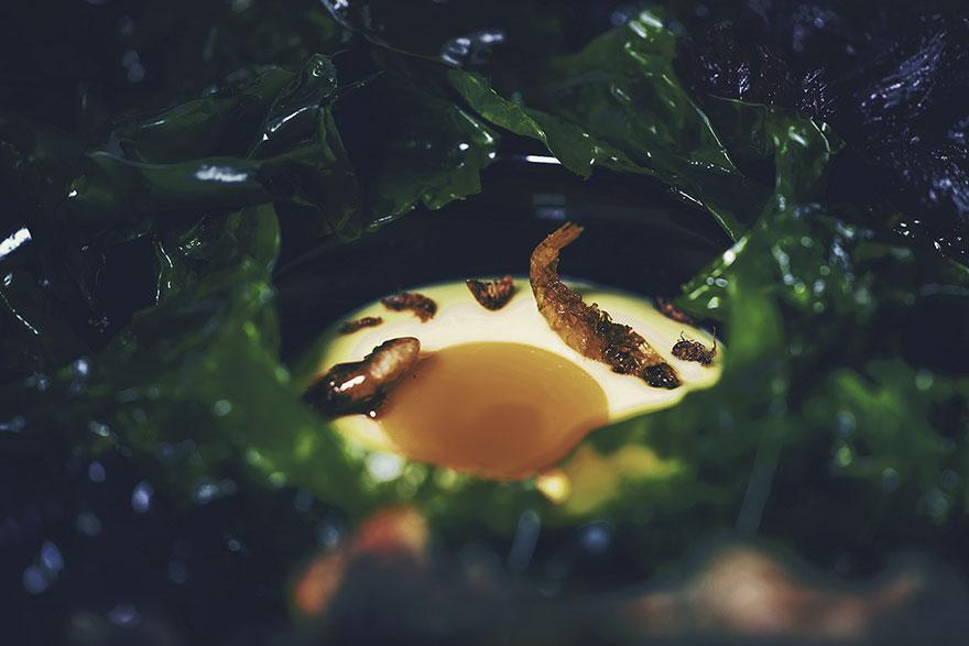 underwaterrestaurant_007