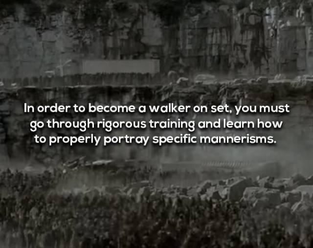 walkingdeadfacts_013