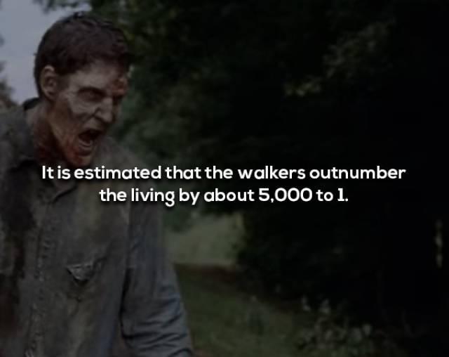 walkingdeadfacts_014