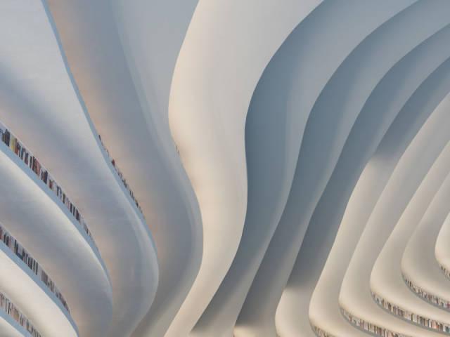 worldsbiggestlibrary_007