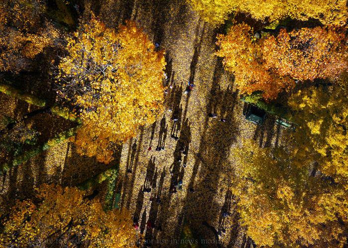 worldwidedronephotos_003