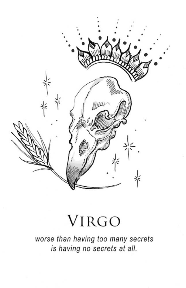 zodiacsignsamritbrar_008