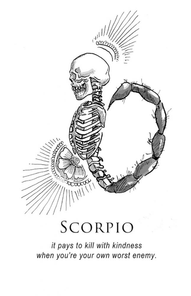 zodiacsignsamritbrar_010