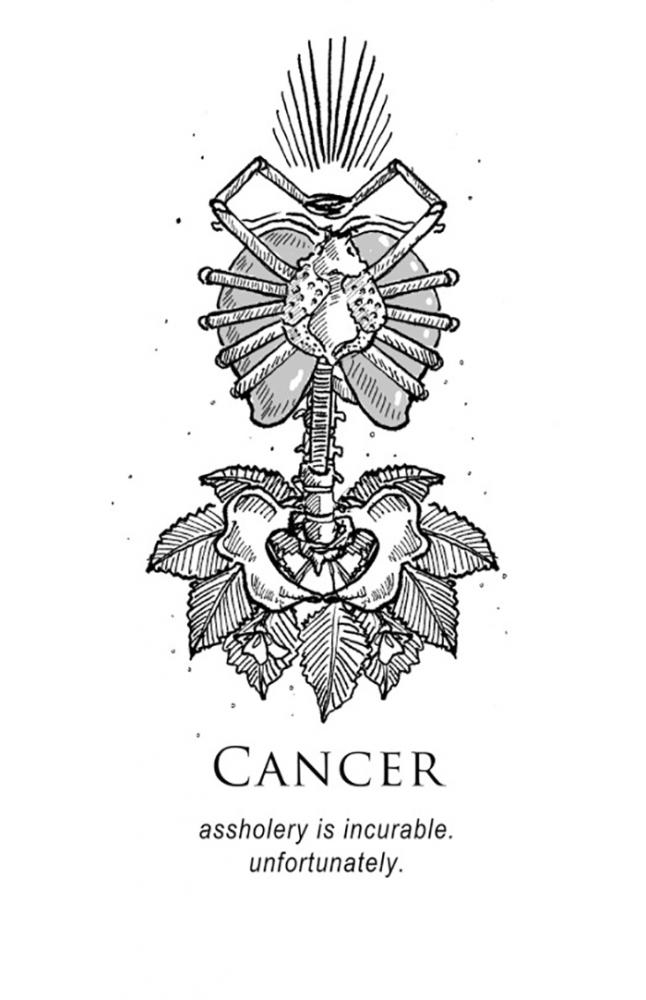 zodiacsignsamritbrar_012