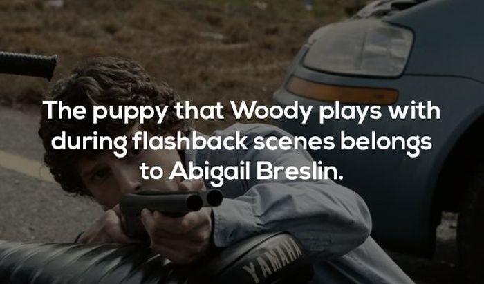 zombielandfacts_010 zombielandfacts_010
