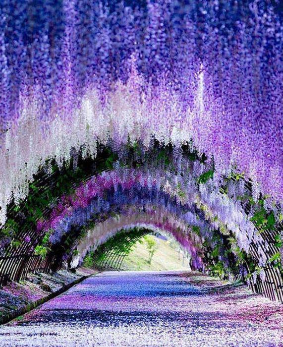 beautifulplaces_013
