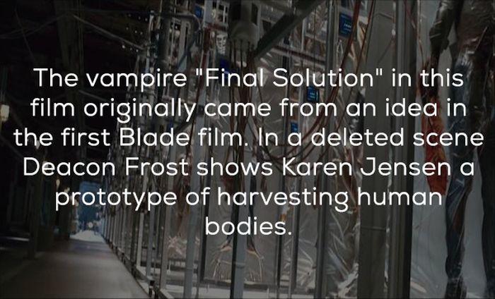 bladetrinityfacts_004