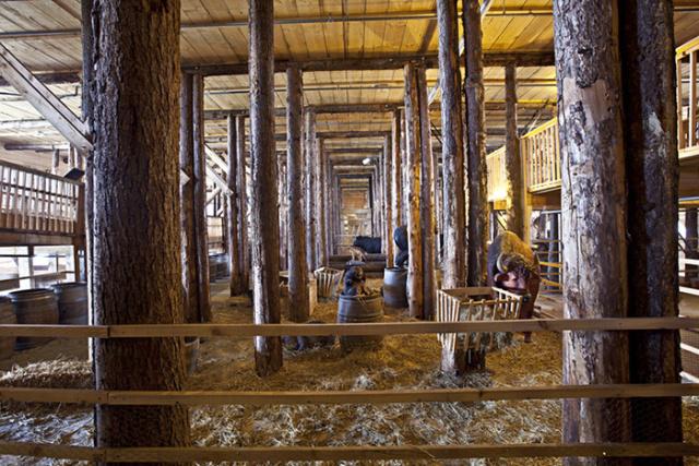 dutchnoahark_007 dutchnoahark_007