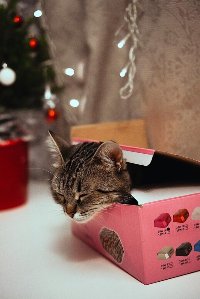 happyholidays2018_003