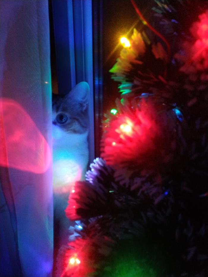 happyholidays2018_058