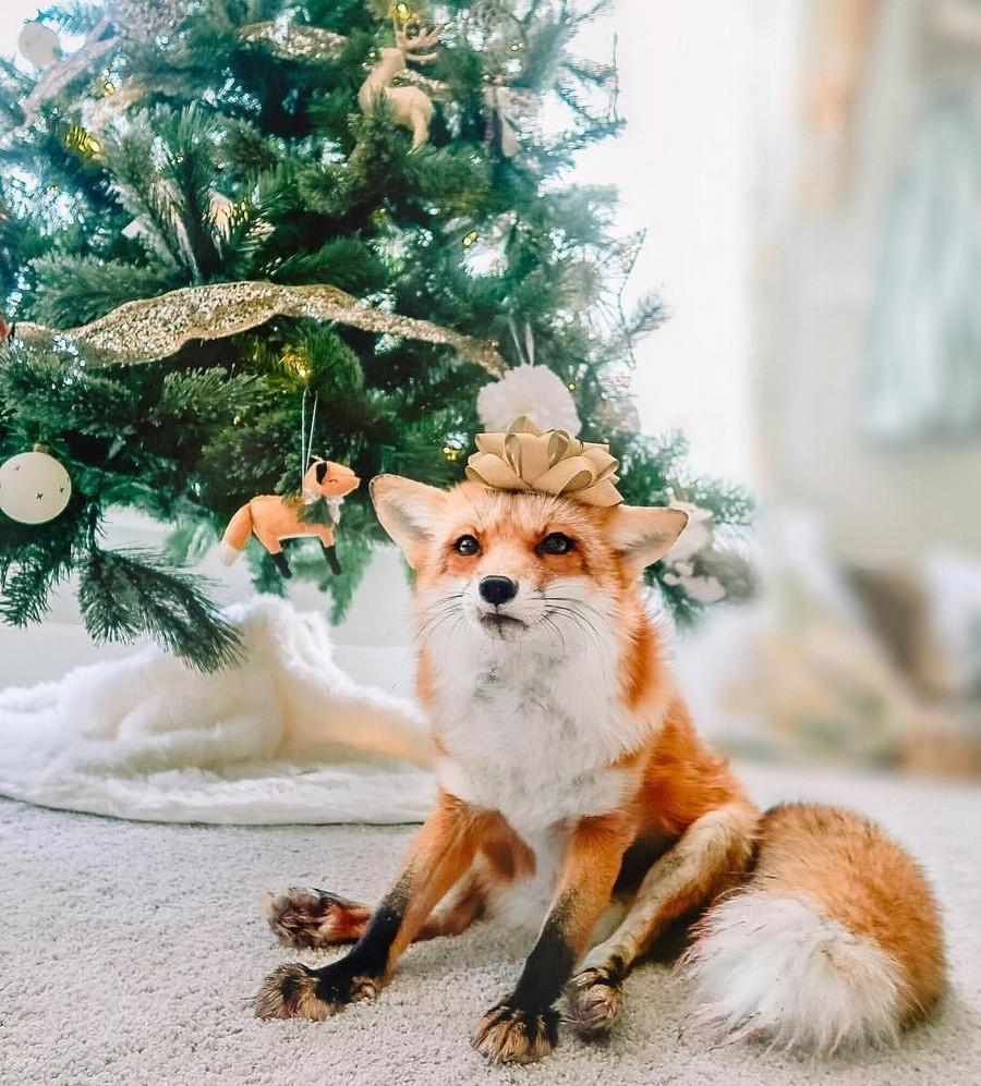 happyholidays2018_078