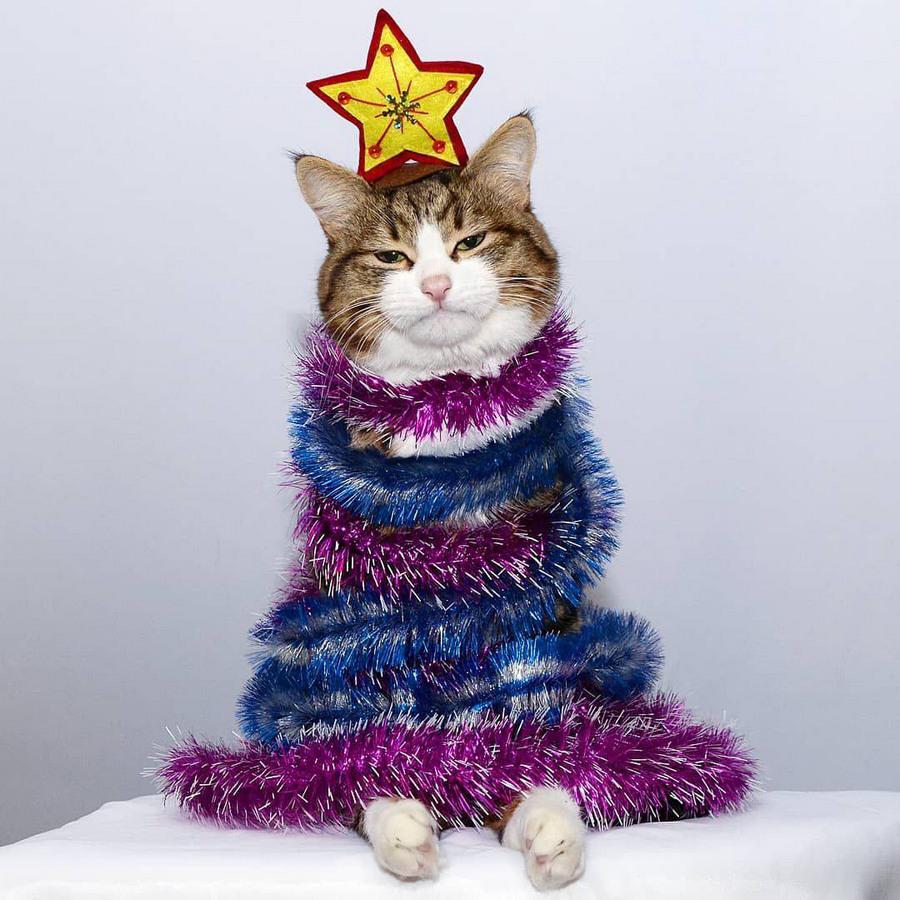 happyholidays2018_086