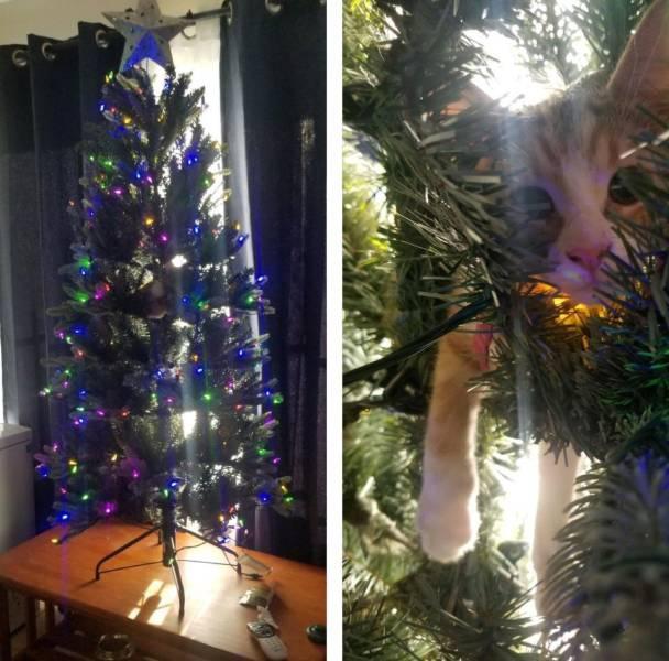 happyholidays2018_091