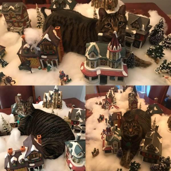 happyholidays2018_093