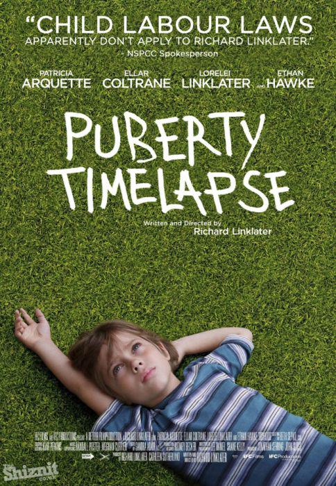 honestmovieposters_004