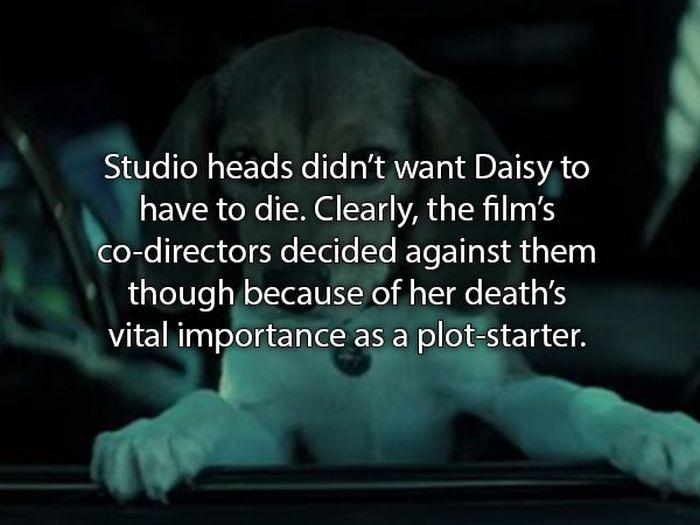 johnwickfacts_004 johnwickfacts_004
