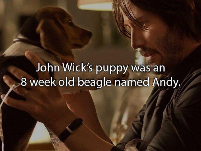 johnwickfacts_010
