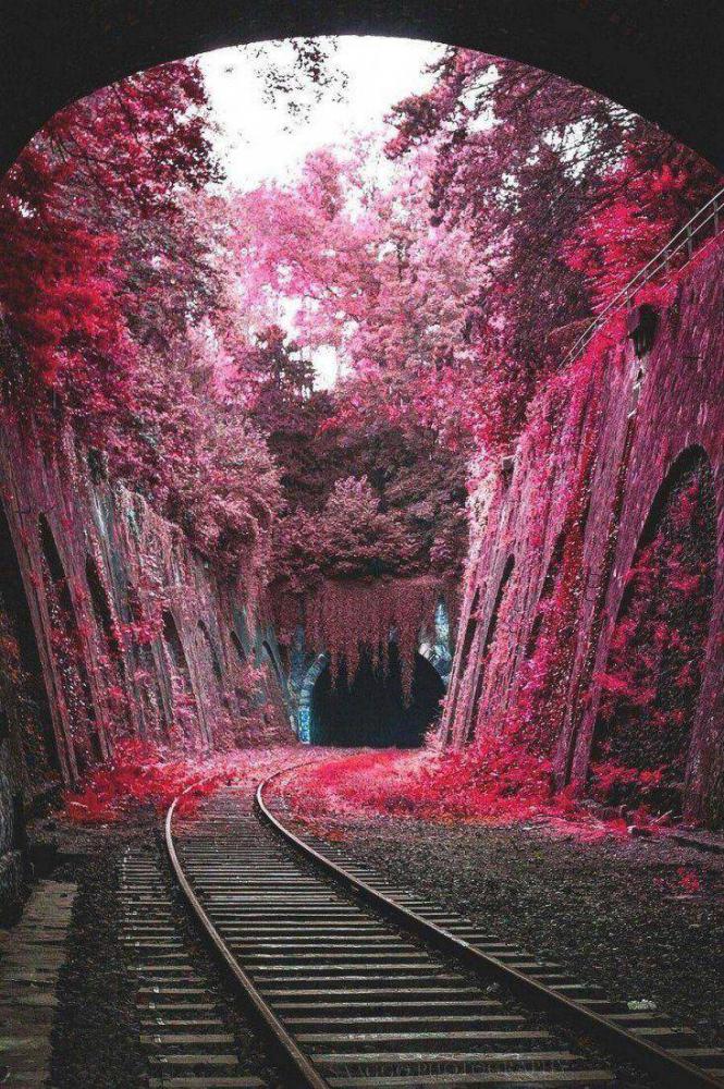 randompics203_060