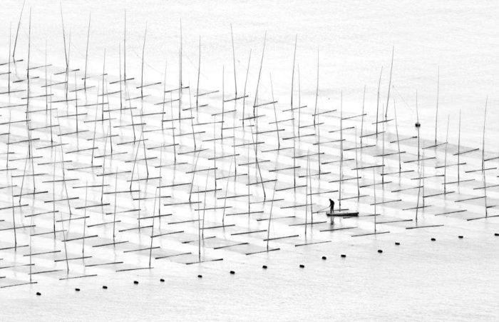 sonyworldphotographyawards_009 sonyworldphotographyawards_009