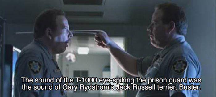 terminator2facts_001