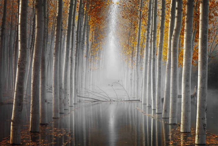 2019naturephotographer_005