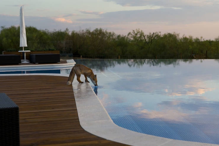 2019naturephotographer_008