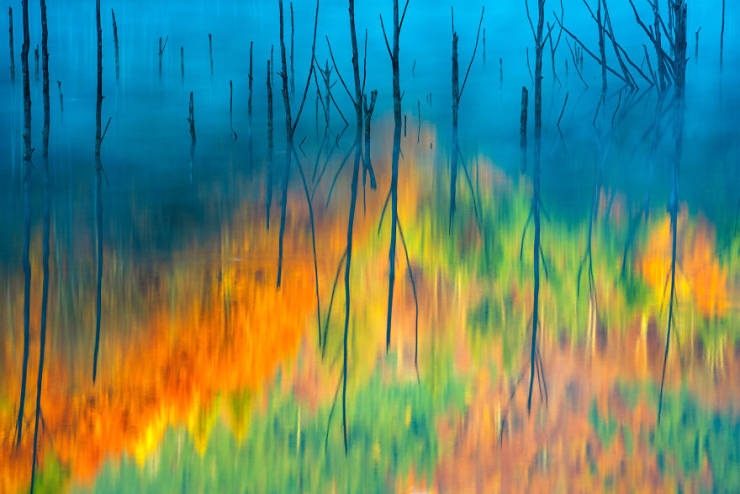 2019naturephotographer_014