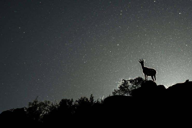 2019naturephotographer_019