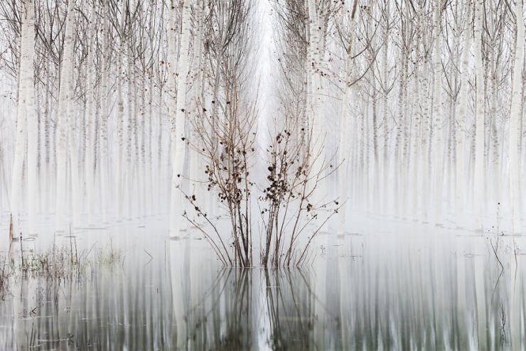 2019naturephotographer_020