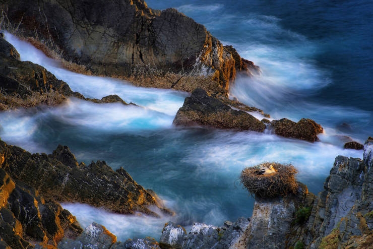 2019naturephotographer_022